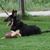Twila Bannick's profile image