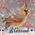 Wendy McNeil's profile image