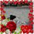 Debbie Damato's profile image