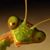 Jason Scott Mermoud's profile image