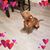 Susan Smith's profile image