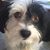 Gina Muzio Watson's profile image