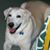 Marty Oakley Cvik's profile image