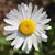 Ann-Marie Smith's profile image