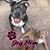 Christine Palacio's profile image