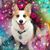 Barbara Tiedt's profile image