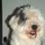 Marie McGovern Ogram's profile image