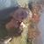 Christi Ridout's profile image