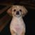 Sandra DeForrest Kremer's profile image