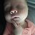 Laurie Dokken's profile image