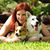 Jennifer Harvey Spitzer's profile image