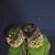 Tania Ebeling's profile image