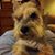 Emie Keys Speak's profile image