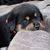 Shally Carlson Trautwein's profile image