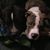 Chad Kilroy Chuby's profile image