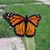 Jacqueline M Boisselle's profile image