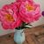 Kathe Young's profile image