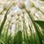 Cindy Stultz's profile image