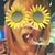 Robyn Kalila Behr's profile image