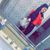 Mia Arnove's profile image