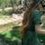 Miriam Rachel's profile image