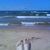 Gayle Starr's profile image