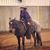 Joni Bollenbacher's profile image