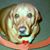 Paula Marler-Gurnsey's profile image