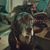 Debbie Davis's profile image