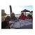 Patsy Rash's profile image