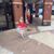 Jodie Gray Rosenblum's profile image