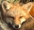JMoore M.'s profile image