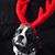 Debbi Caizza's profile image