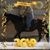 Linda Mast's profile image