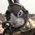 Hunter Kyle's profile image