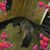 Tammy Smith's profile image