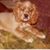 Marge Gipson's profile image