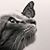 Adam Ensinger's profile image