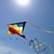 Lynda Hedgpeth Lott's profile image