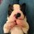 Kitty Jameson Demankowski's profile image