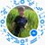 Safeer Safeer's profile image