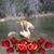 Liz Pierscinski Williams's profile image