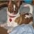 Draoun Johns's profile image