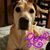 Danelle Reeves's profile image