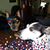 Kate Thomas's profile image