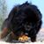 Michael Weiland's profile image