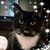 Diane Mc's profile image
