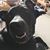 Stephanie Hockenberry's profile image