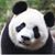 Betty Moreno's profile image