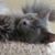 Valerie Bierley's profile image